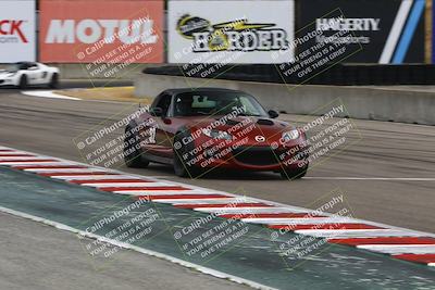 media/May-17-2025-Speed Ventures (Sat) [[f9f9f70676]]/Yellow/Session 2 (Turn 11)/